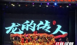 龙的传人节目在线观看,传承千年文化，共赏华夏风采