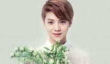 明星爆料杨紫鹿晗视频,幕后故事引热议